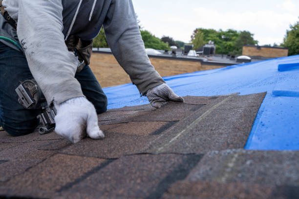 Best New Roof Installation  in Wakefield, MI